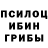 Галлюциногенные грибы Psilocybe Zow Show